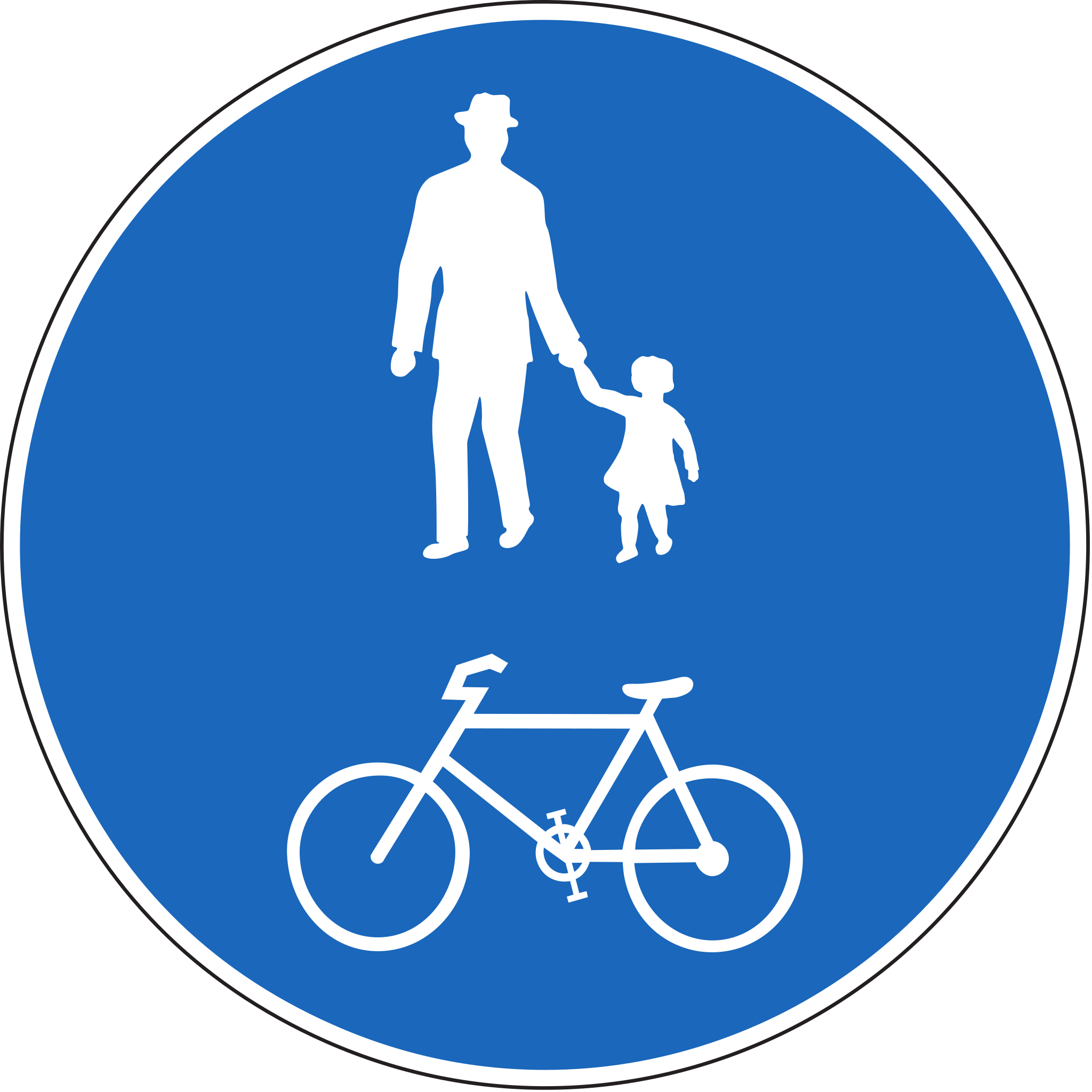 Gemeinsamer Rad- und Fussweg 60 cm