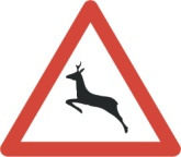 Wildwechsel 74 cm