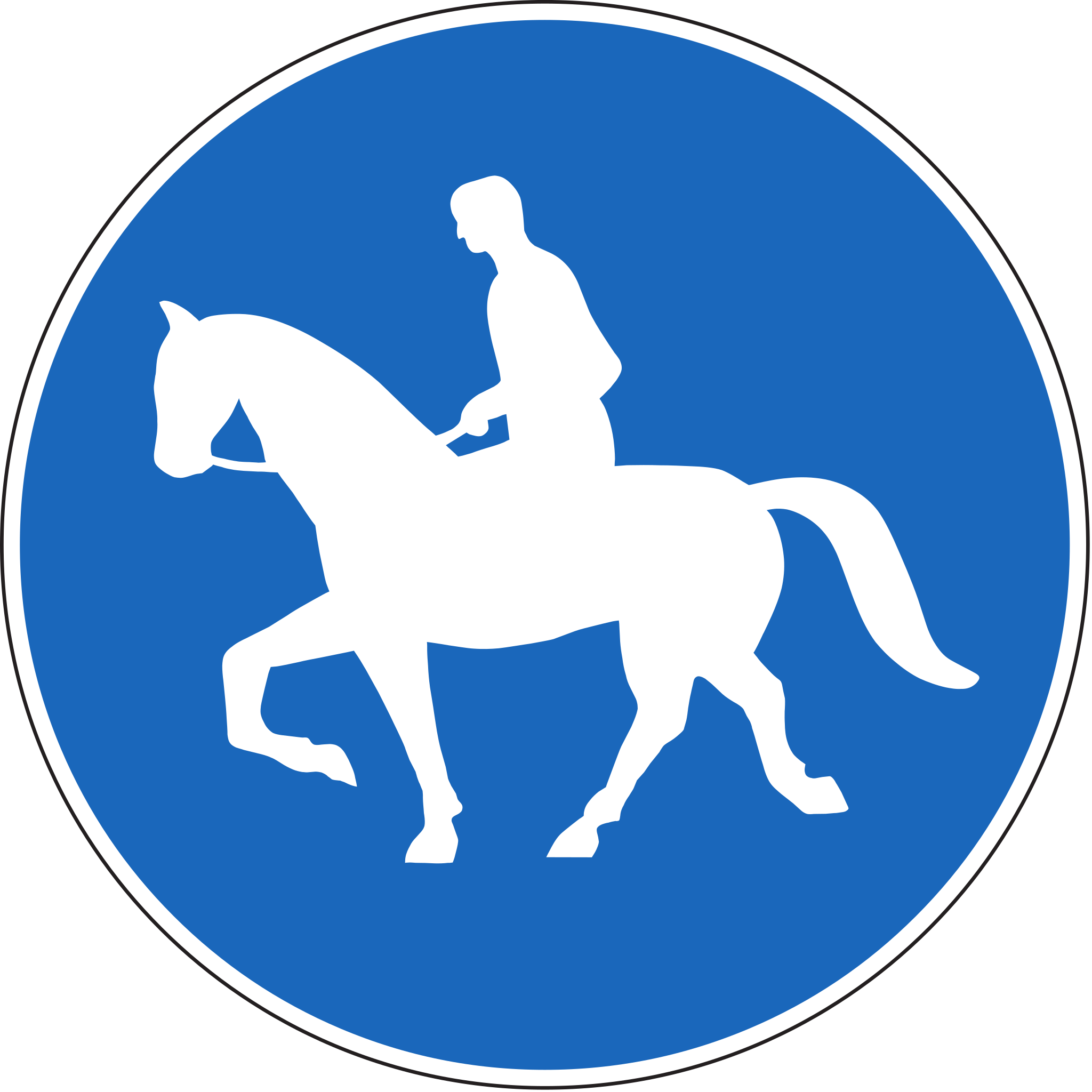 Reitweg 60 cm